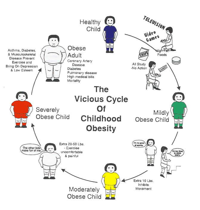 Essays on childhood obesity in america